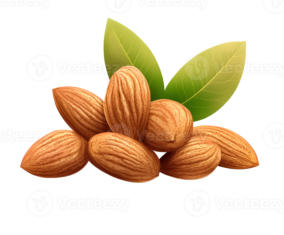 Almonds with leaves on white background png