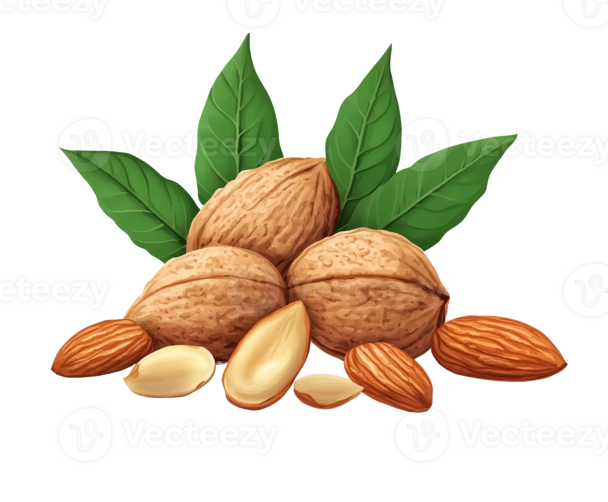Walnuts and almonds with leaves on transparent background png