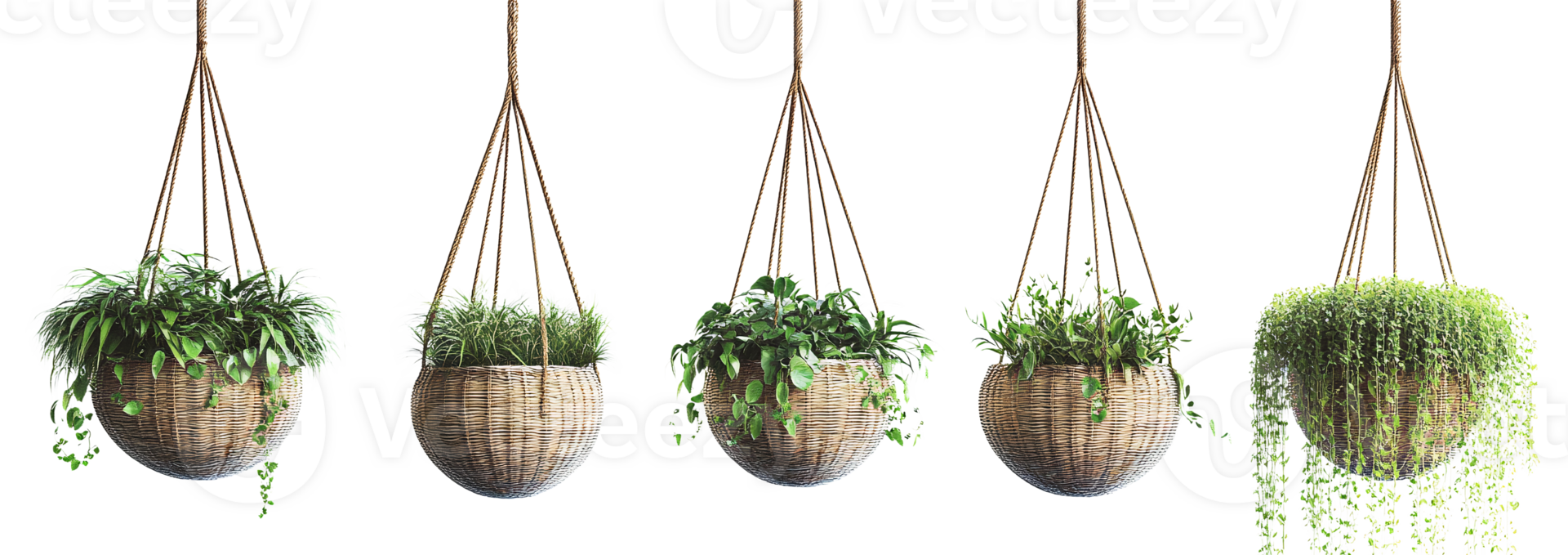 Hanging plants in wicker baskets on transparent background png