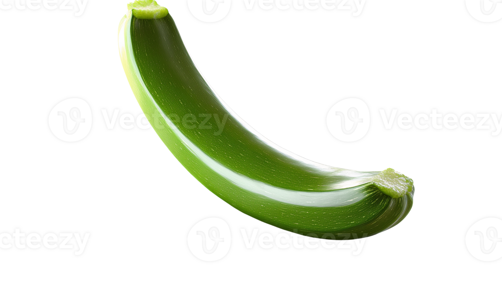 green zucchini vegetable on transparent background png