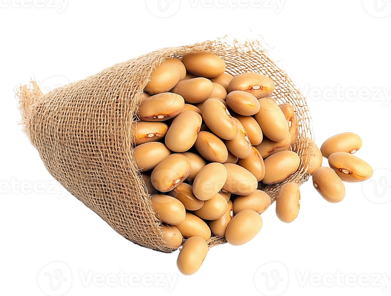 Burlap sack of pale yellow beans on transparent background png