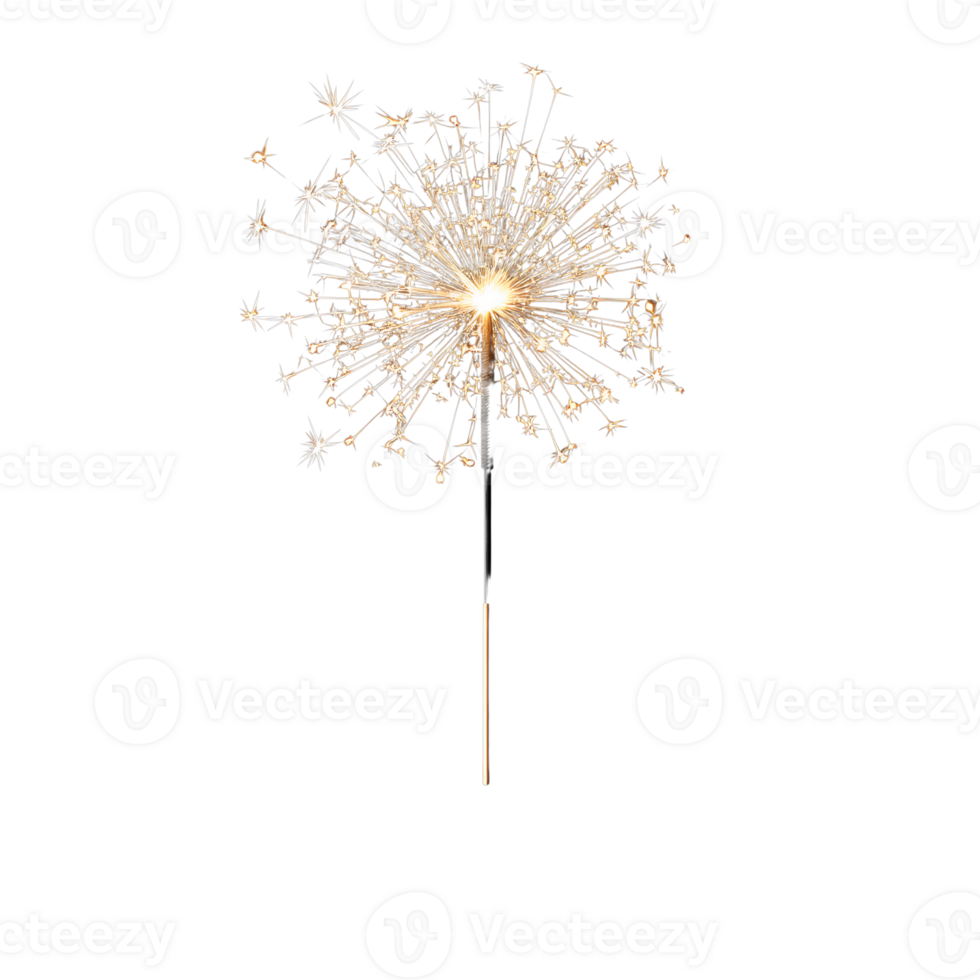 Sparkler light dandelion shape on transparent background png