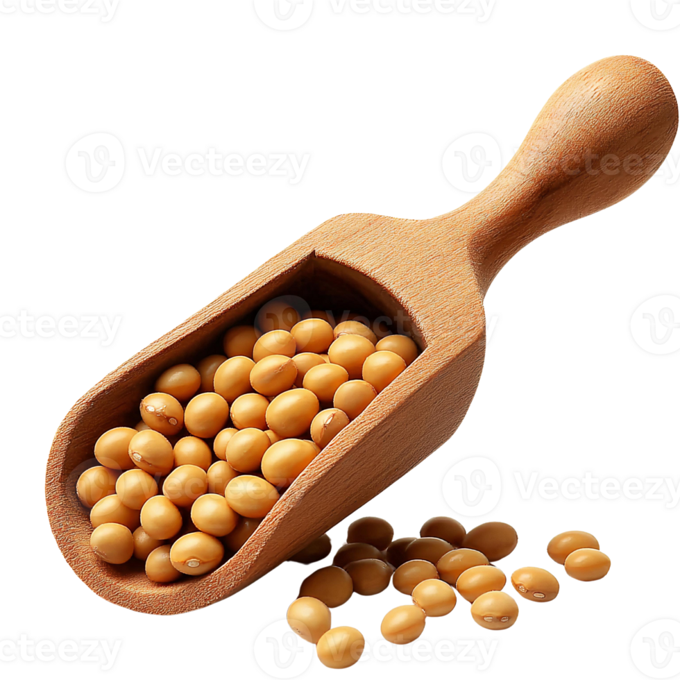 Soybeans in wooden scoop on transparent background png