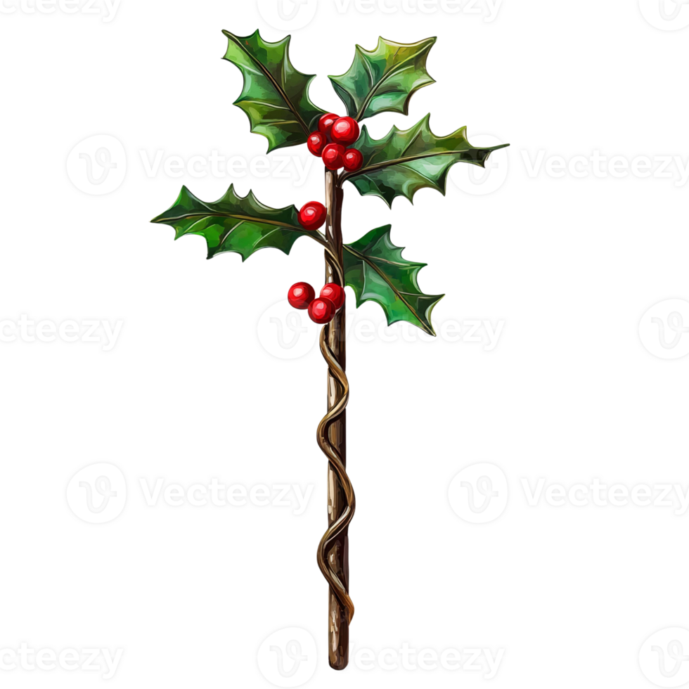 Traditional Holiday Holly Leaves and Berries on transparent background png