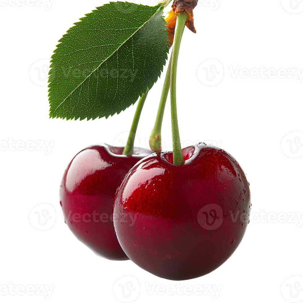Red cherries with green leaf on transparent background png