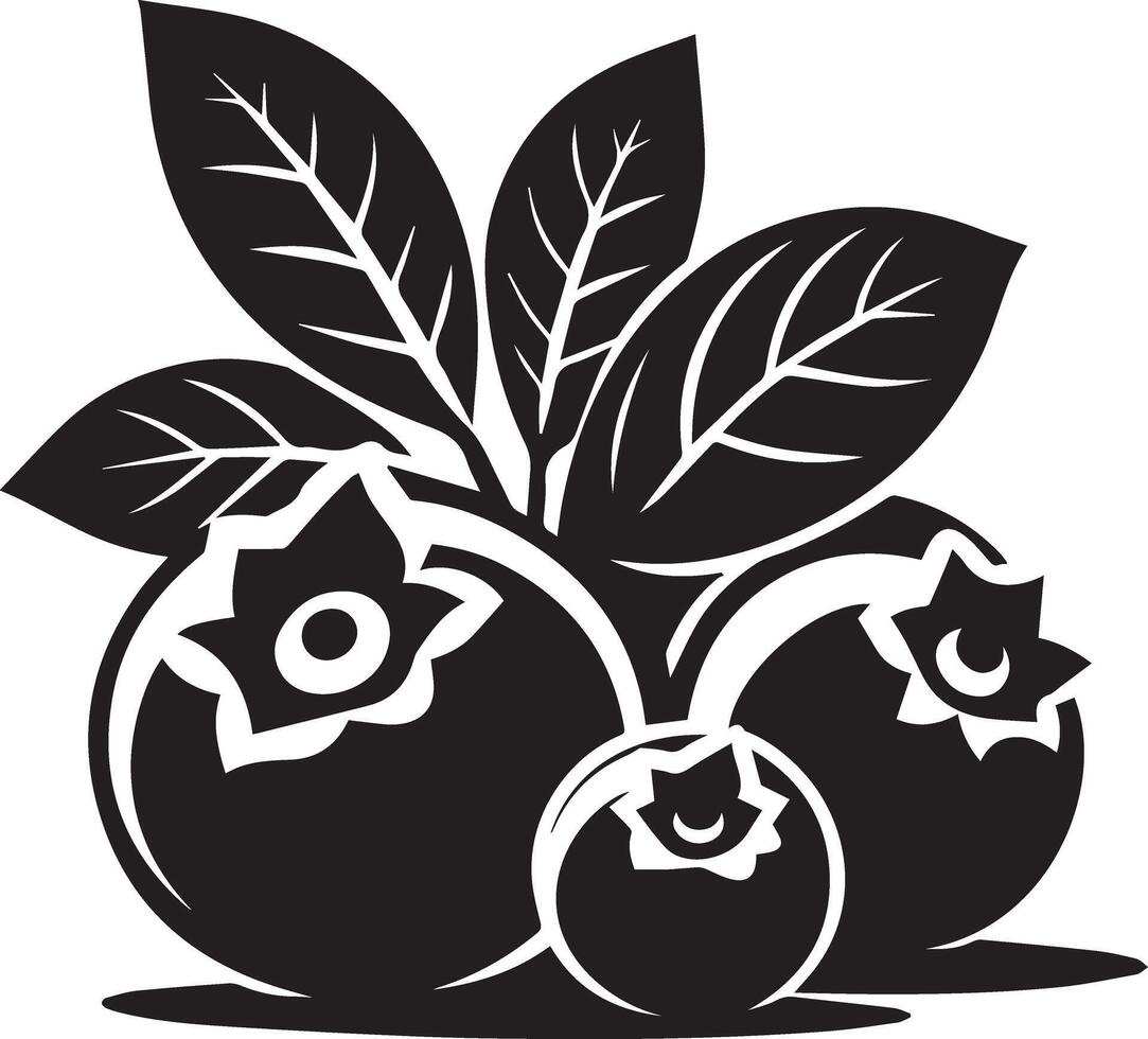 blueberry silhouette Illustration vector