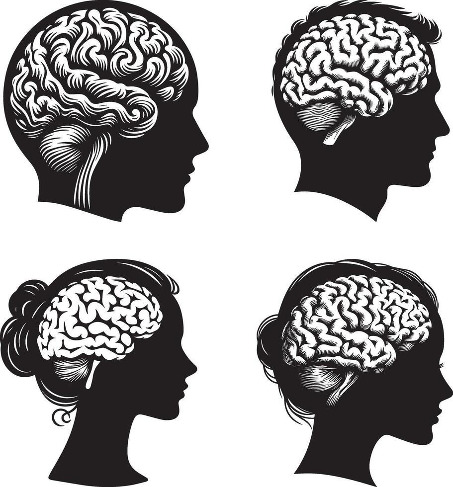 Human brain silhouette illustration and white background vector