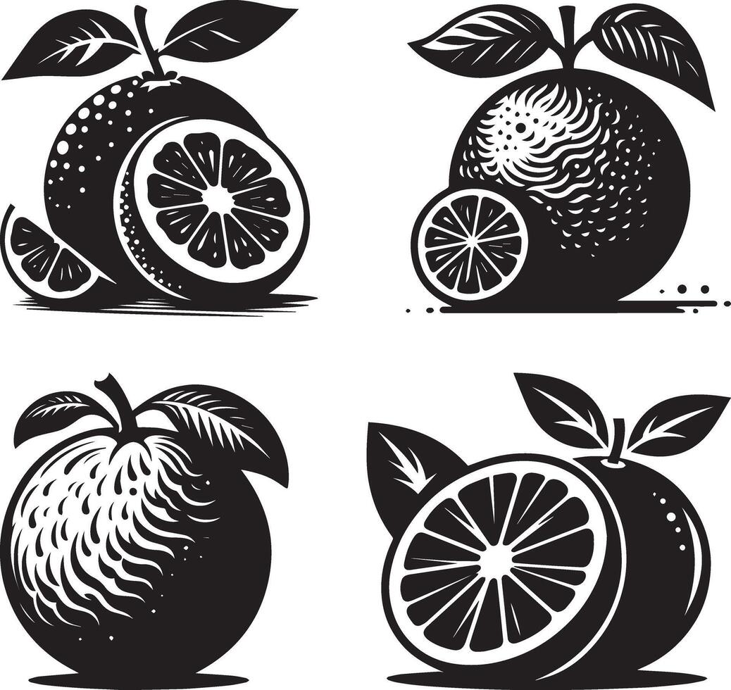 Orange silhouette Illustration and white background vector