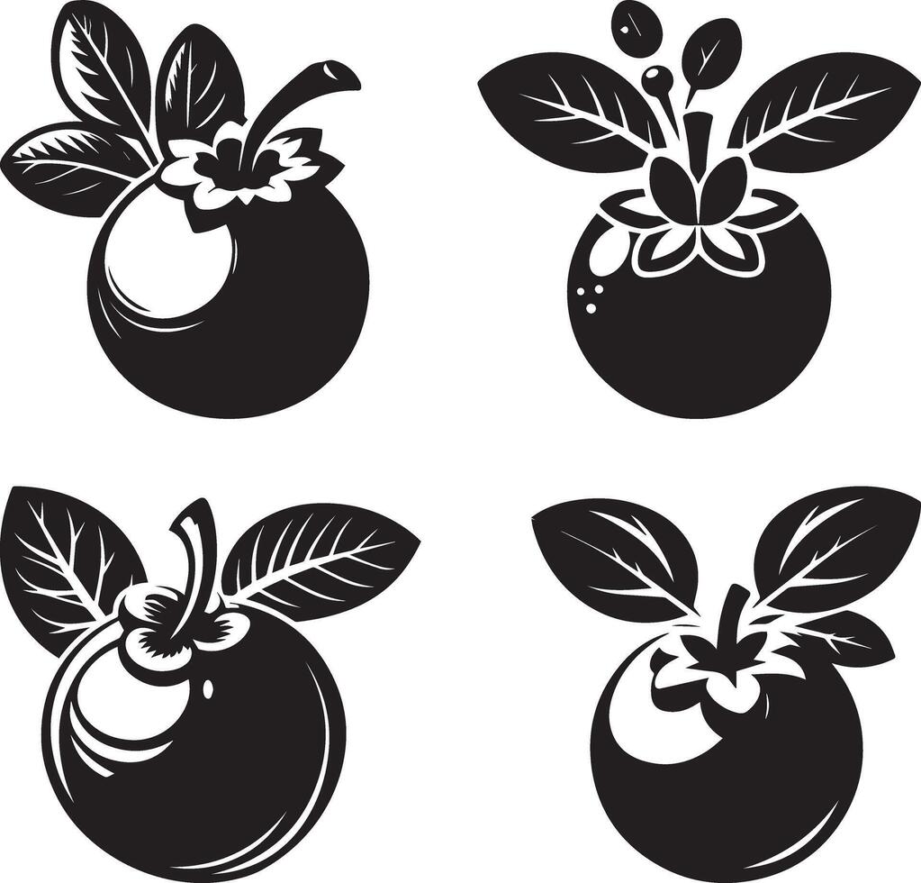 blueberry silhouette Illustration and white background vector