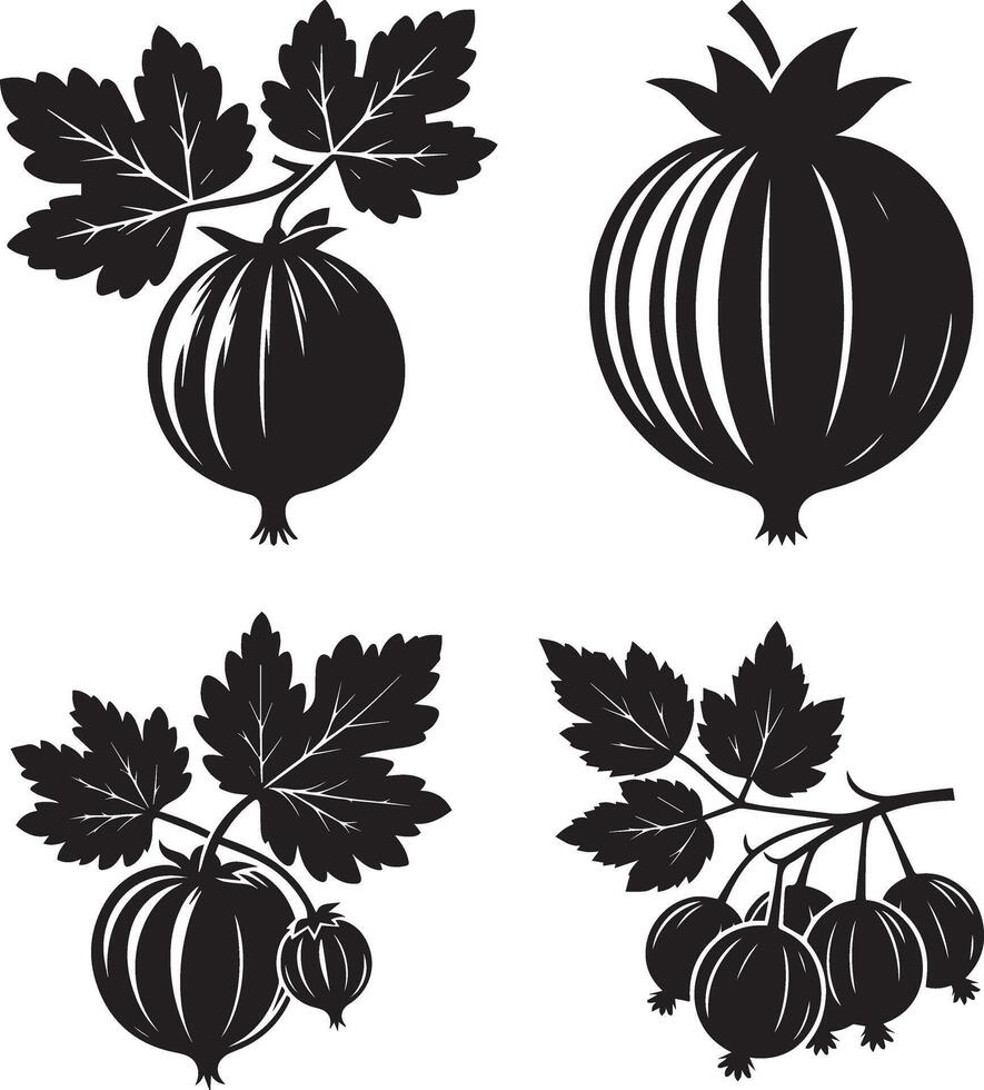 Black and White Ceylon Gooseberry Silhouettes and white background vector