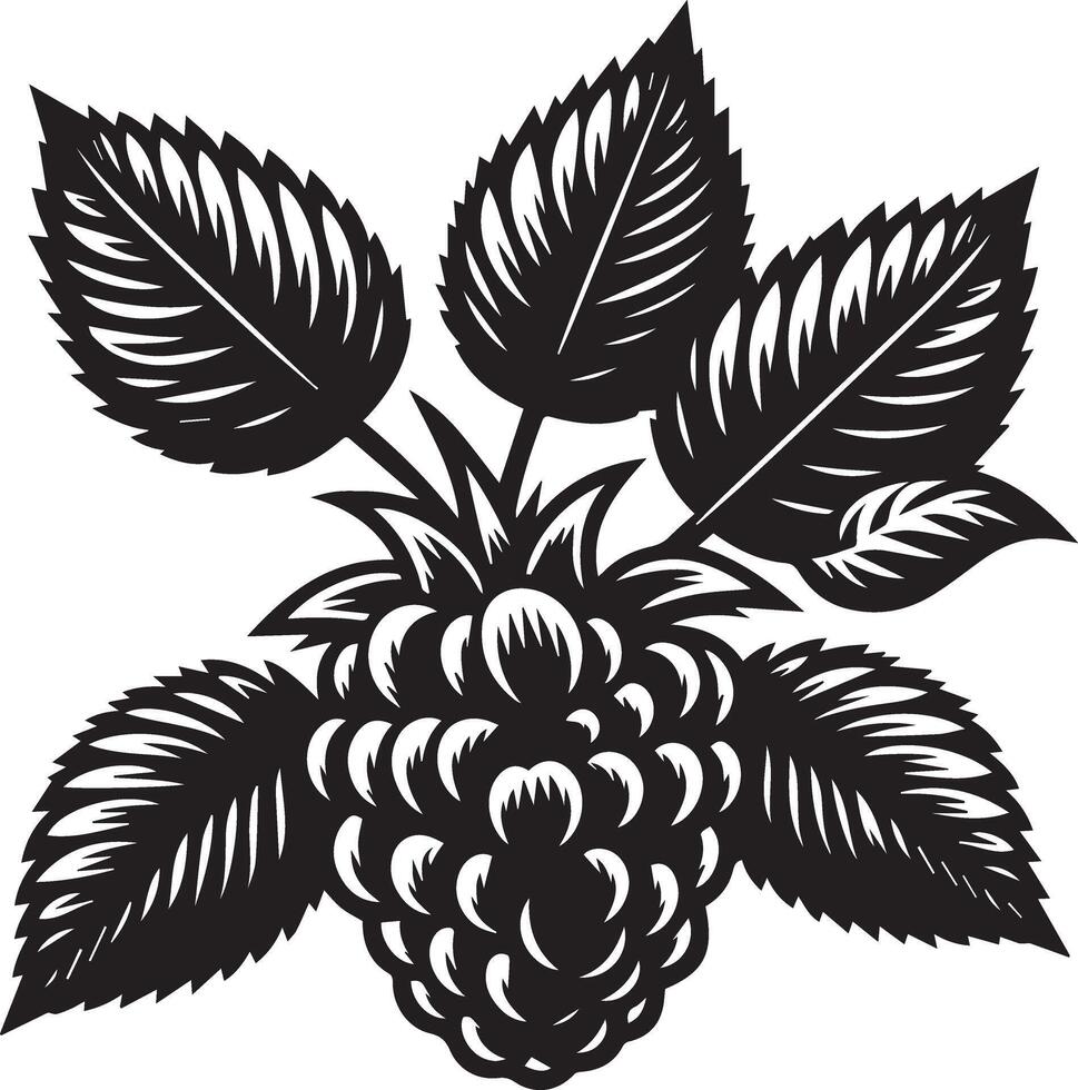 Raspberry silhouette Illustration vector