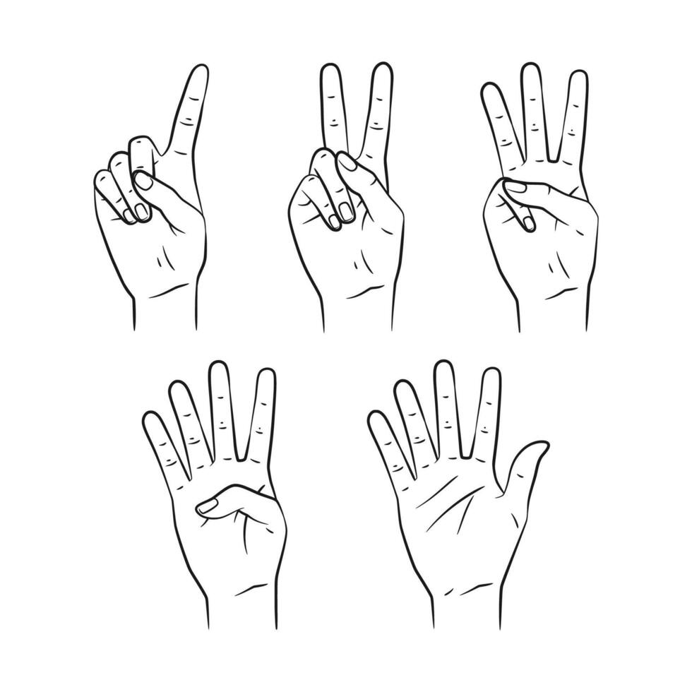 Line Art Hand Gestures Showing Numbers One to Five vector