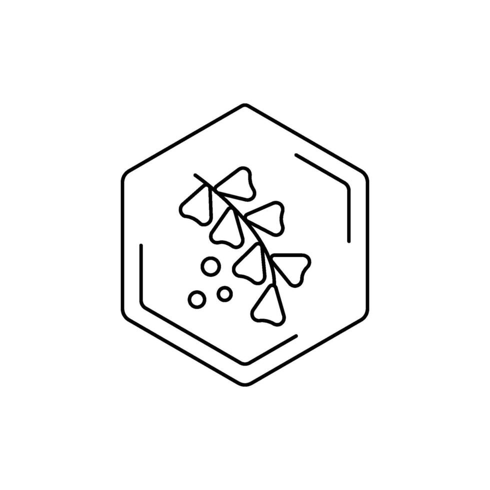 Herbal medicine icon with hexagonal frame. Meliltus, sweet clover black line pictogram. Floral themes, pollen, field honey in a minimalistic style. vector