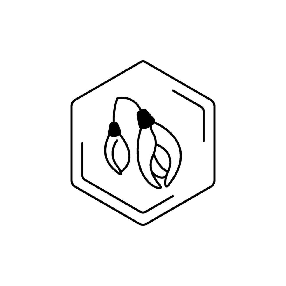Minimalist floral line art in hexagonal frame. Acacia black line pictogram. Floral themes, pollen, field honey in a minimalistic style. vector
