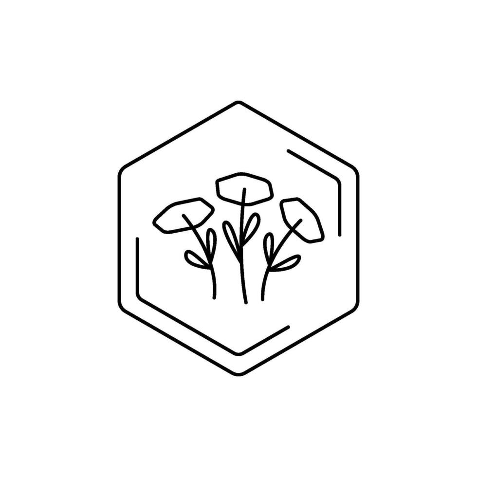 Chamomiles black line pictogram. Minimalist flower emblem inside hexagon outline. Floral themes, pollen, field honey in a minimalistic style. vector