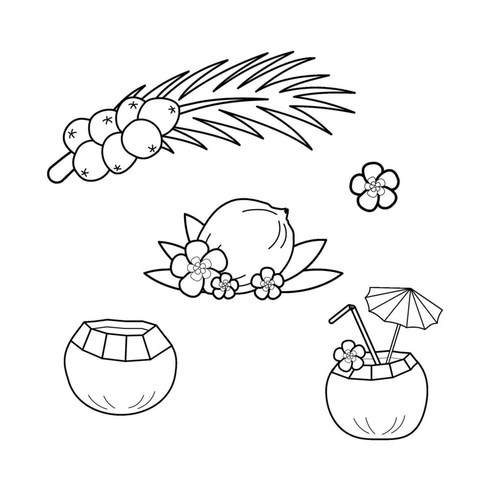Coconuts black line illustration, Sri Lanka, Maillard reaction. Palm leaves with fruits, Royal coconut on palm branch. Doodle Coconut cocktail with straw, tropical flowers, umbrella. vector