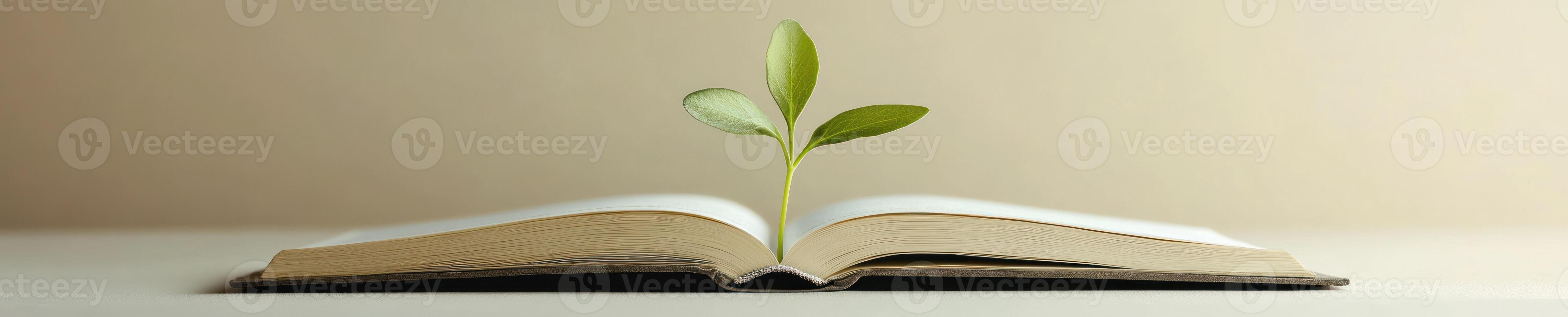 Growth and knowledge concept with sprout emerging from open book photo