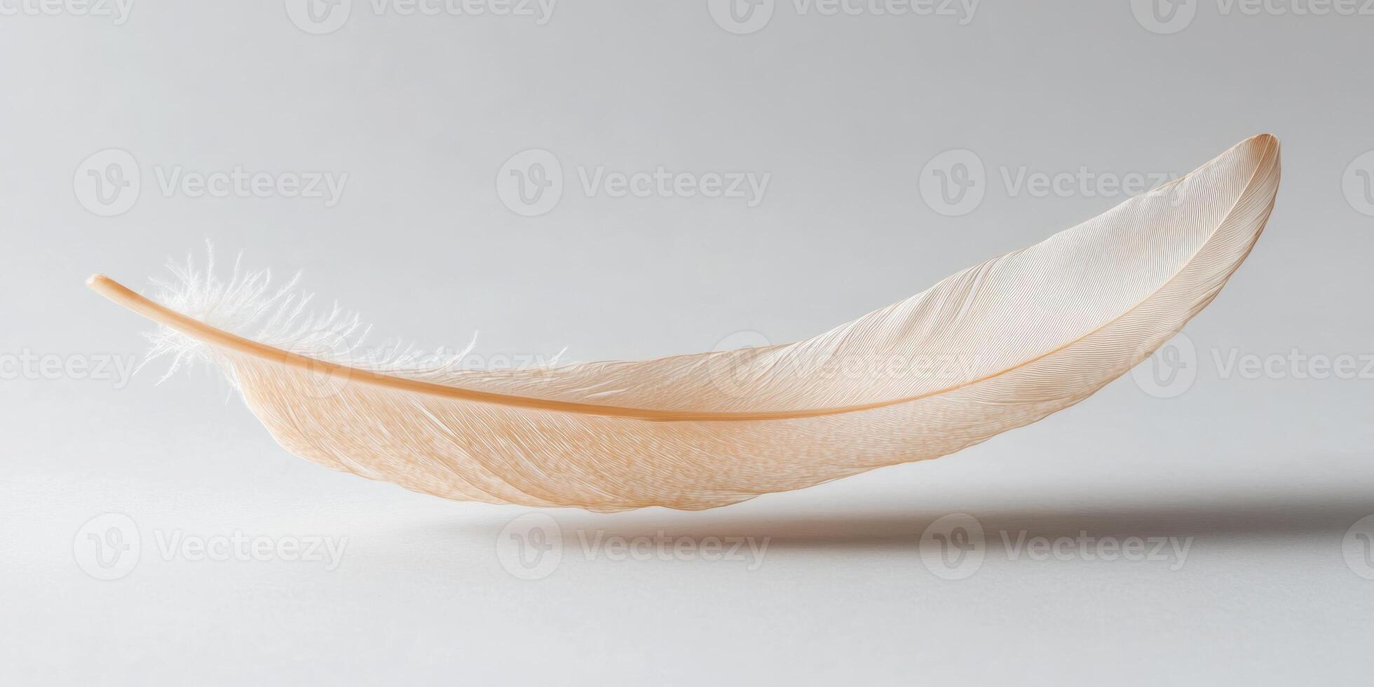 Ultra minimalist image of a single feather in soft focus photo
