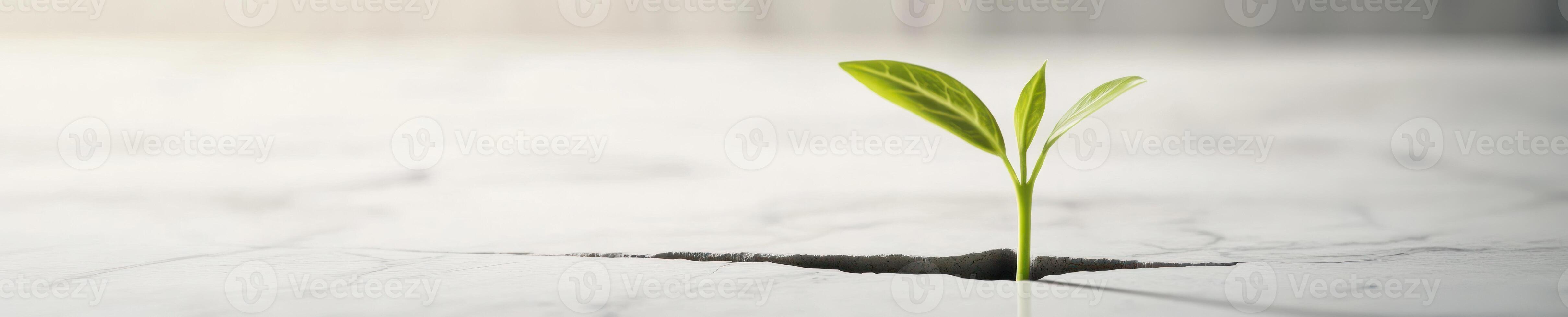 Resilience and growth. Vibrant sprout emerging from cracked surface for inspiration and motivation themes photo
