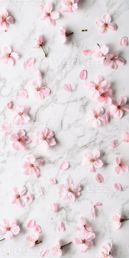 Cherry blossom flat lay on marble background for spring decor and design photo