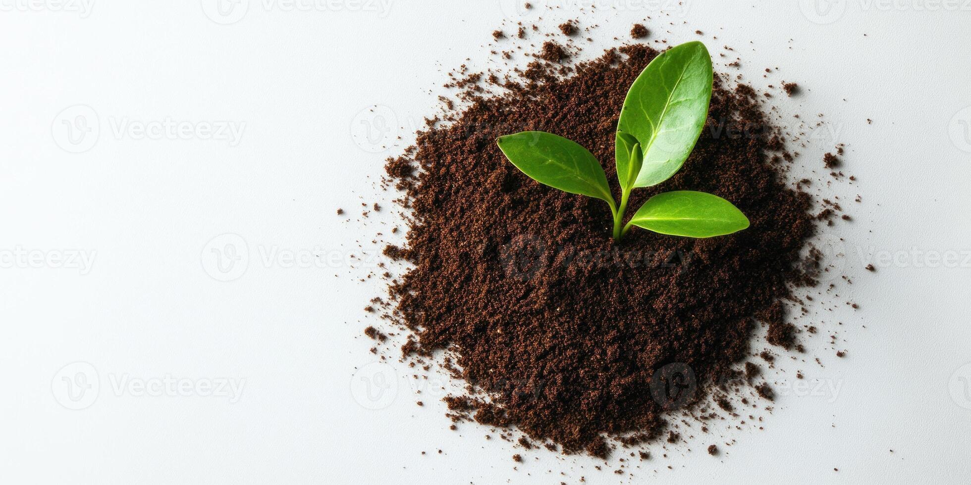 Modern branding mockup featuring a delicate sprout growing from soil on white background photo