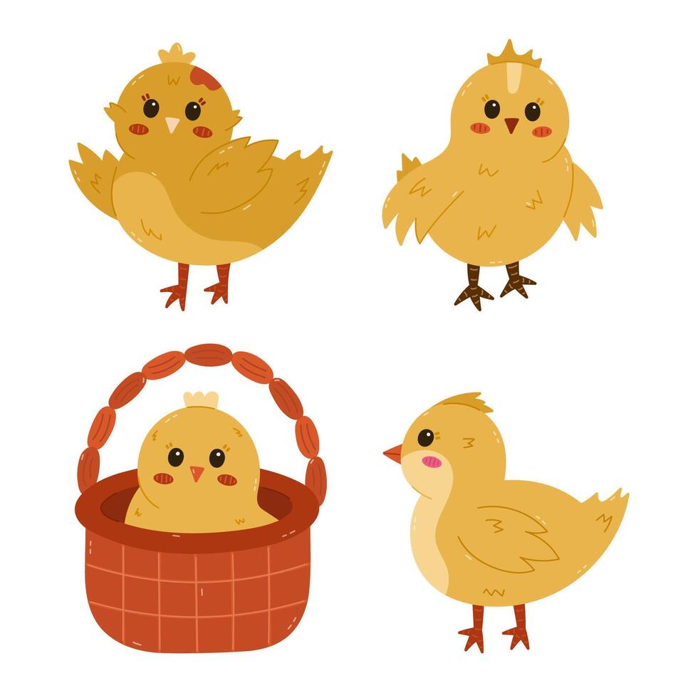 Cartoon set with lovely chick in different poses. Young baby chicken waving hello with wings, in the basket, side view. Cheerful hand drawn farm bird as symbol of Easter isolated on background. vector