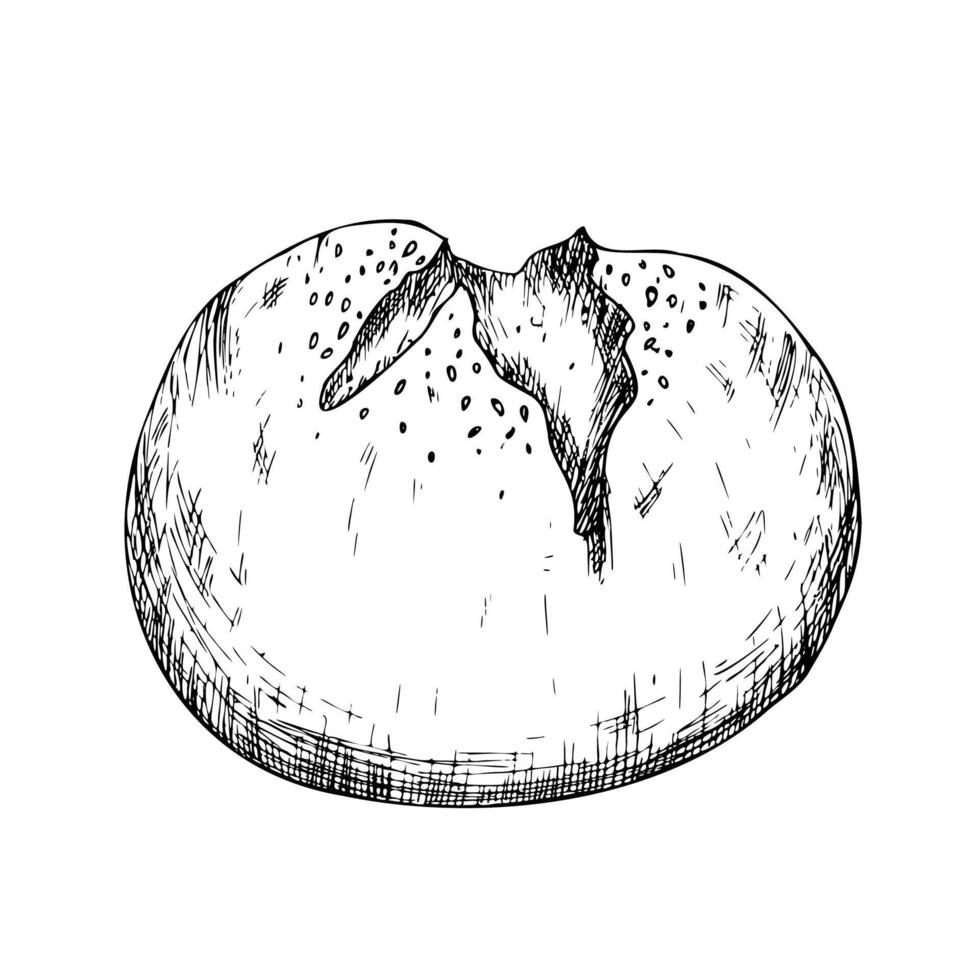 bun with sesame seeds. Graphic ink loaf food, bakery baget, pastry grain, cereal cake bun bread illustration isolated on background. Hand drawn line sketch. For designers, prints, logo, icon vector