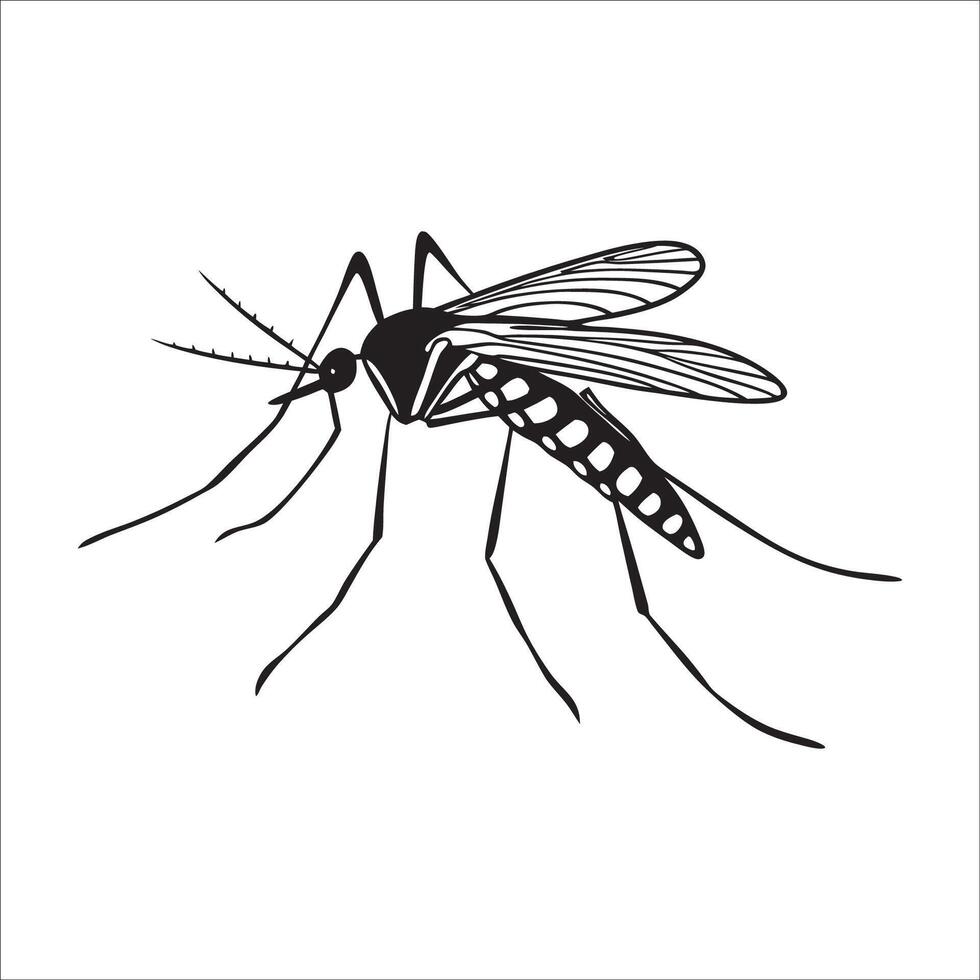 Mosquito Silhouette Illustrations. Best Mosquito Silhouette Graphics for Designers. vector