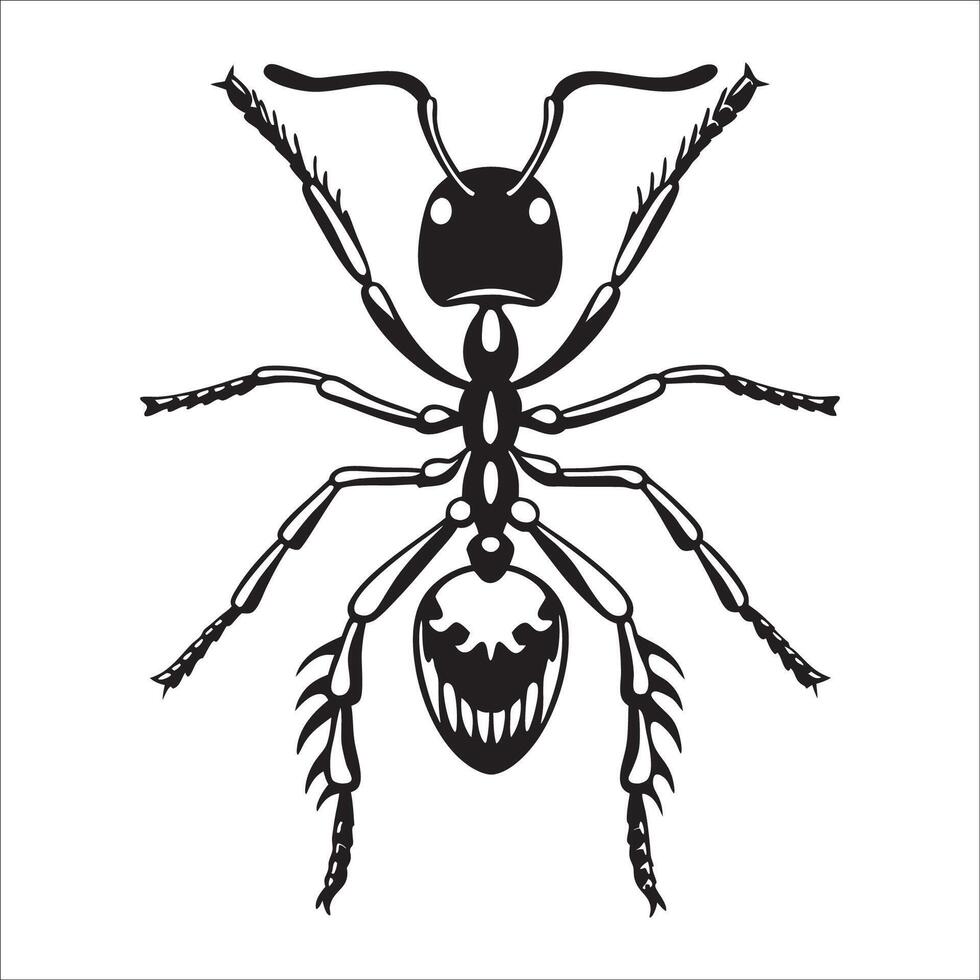 Realistic Ant Silhouette Designs for Logos, Decals, and Digital Art vector