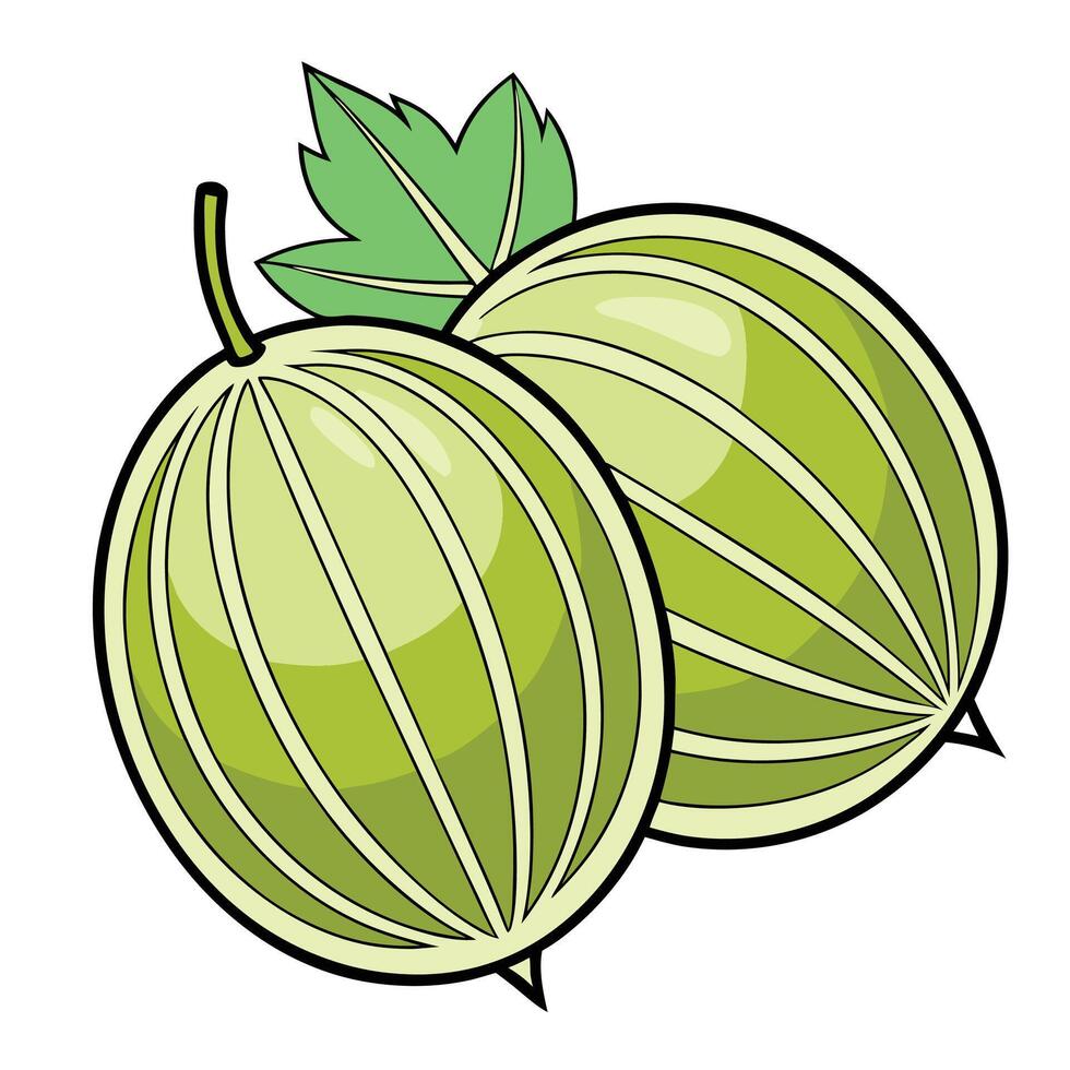 two green melons with leaves white background vector