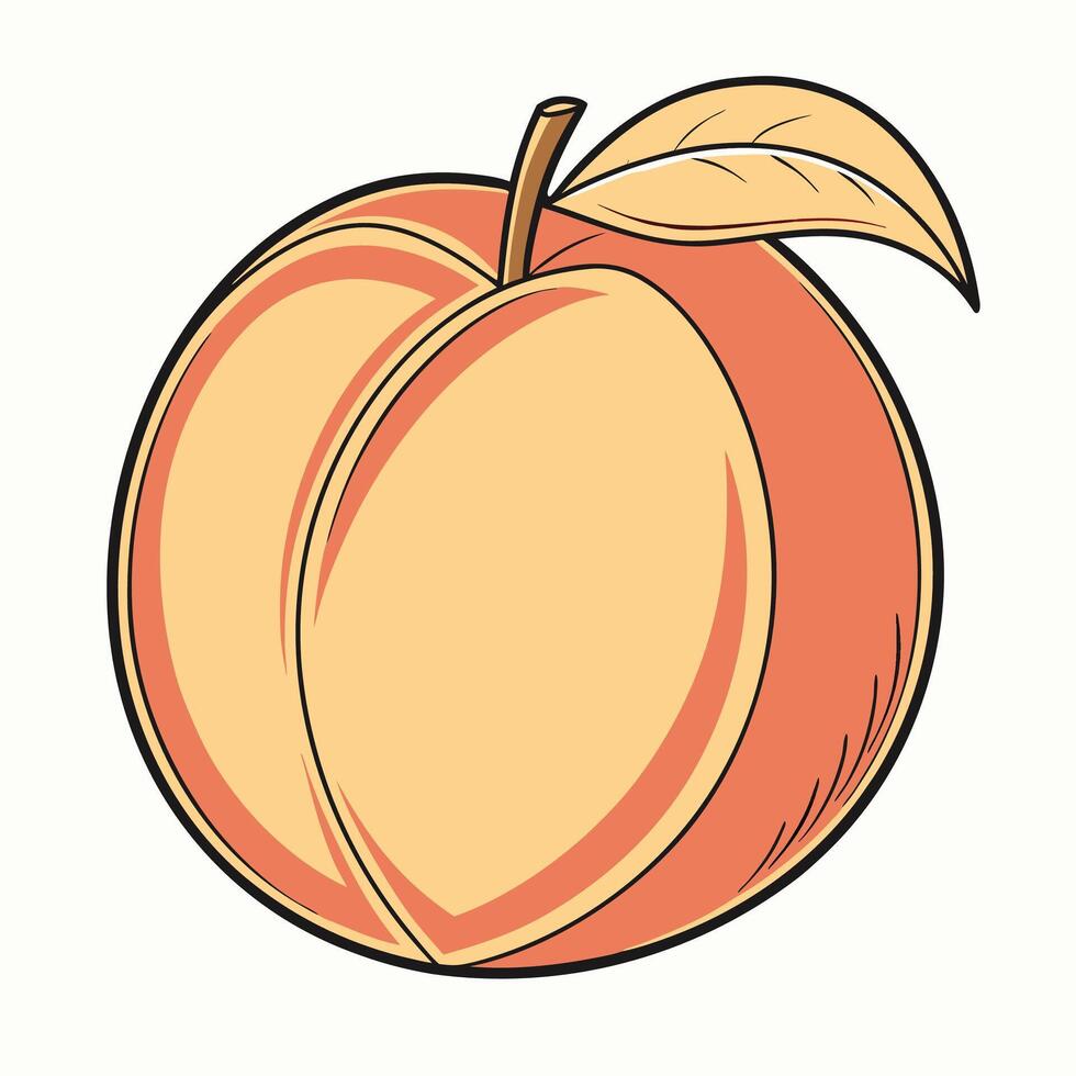 a peach is shown in a cartoon style vector