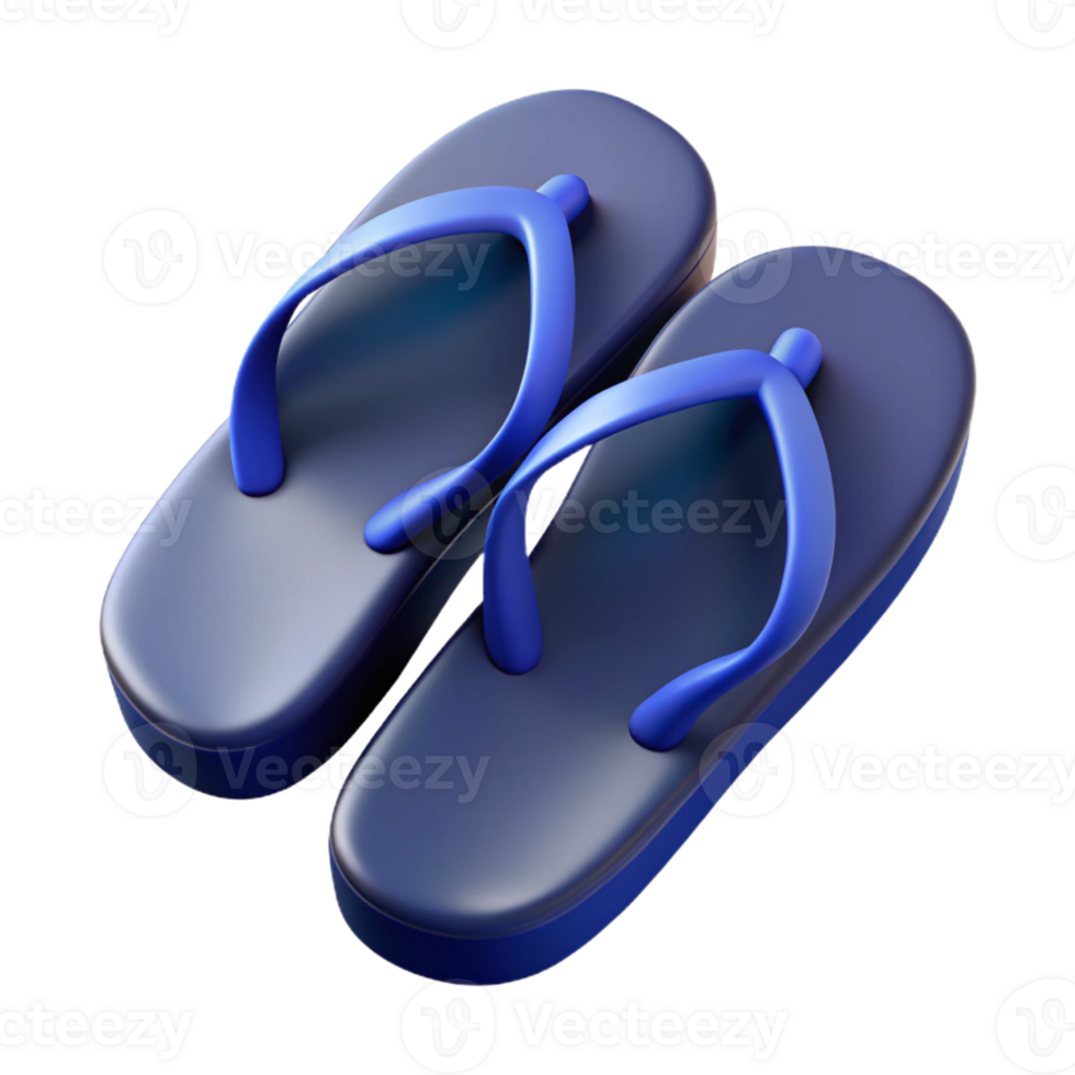 3D Icon of Flip-Flops for Summer Wear png