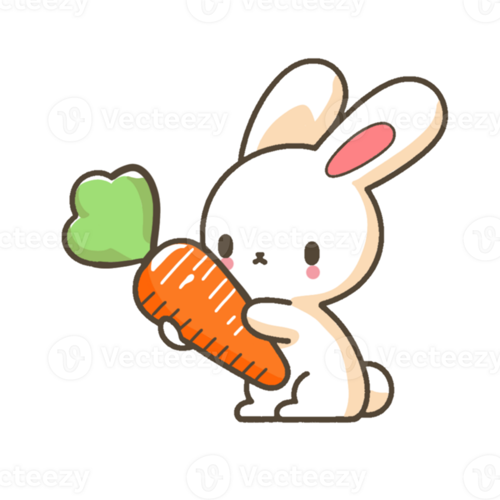 A cute bunny holding a carrot png