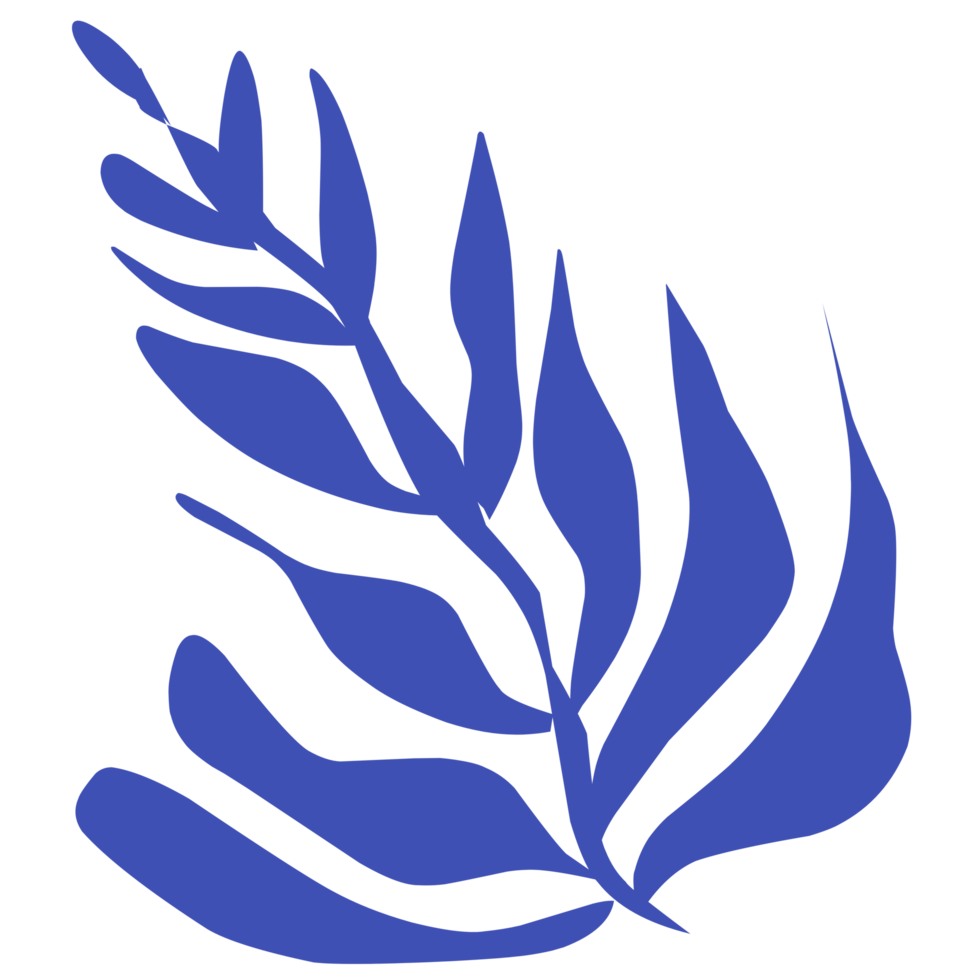 modern style icon leaf png