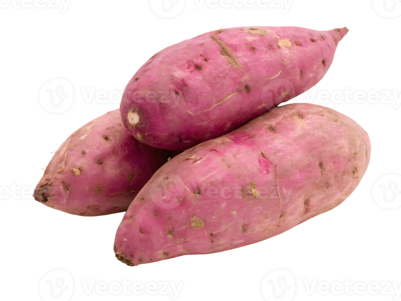 Three sweet potatoes with pinkish purple skin and small root scars are arranged in a pile png