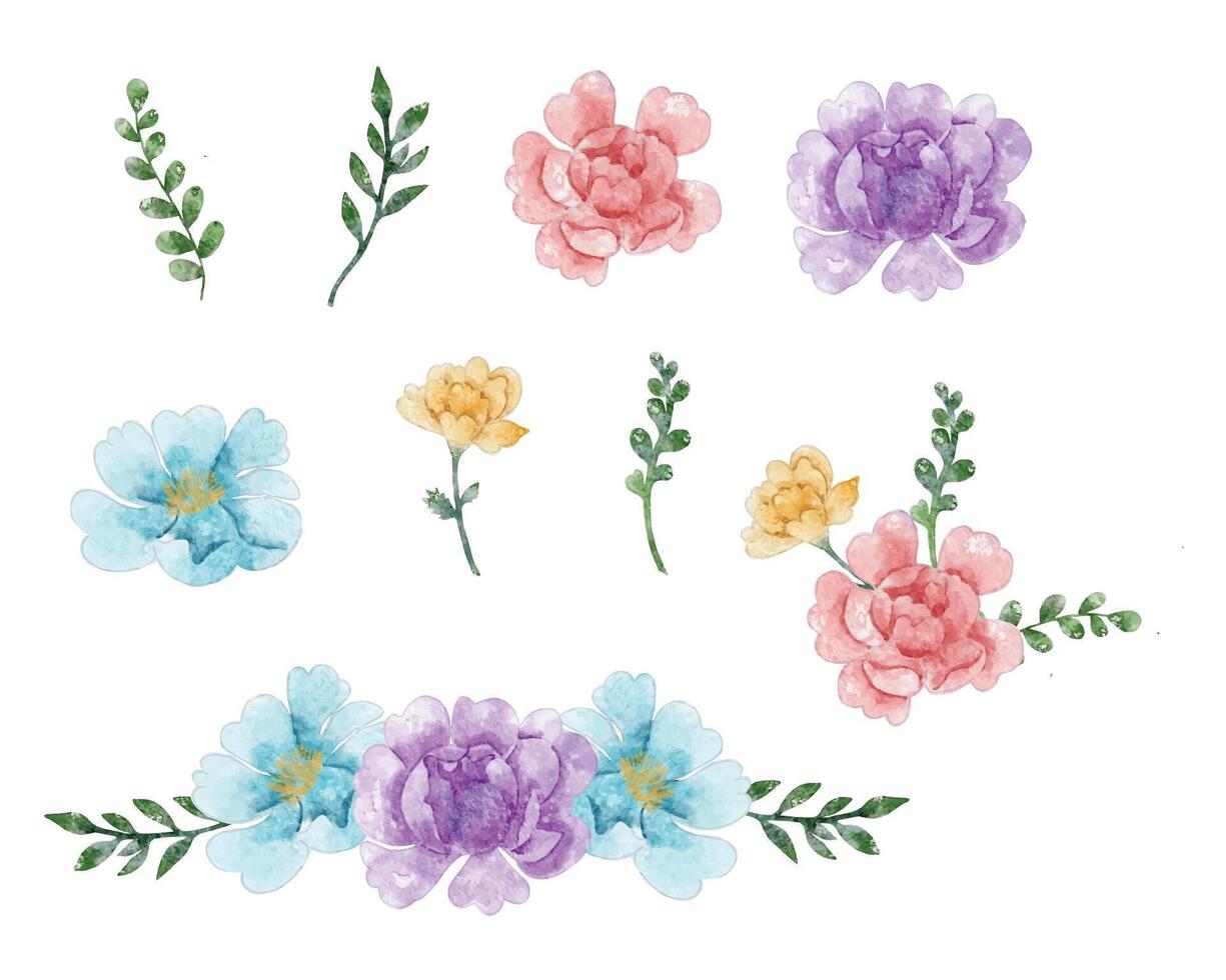 Colorful Rose Watercolor Flower vector