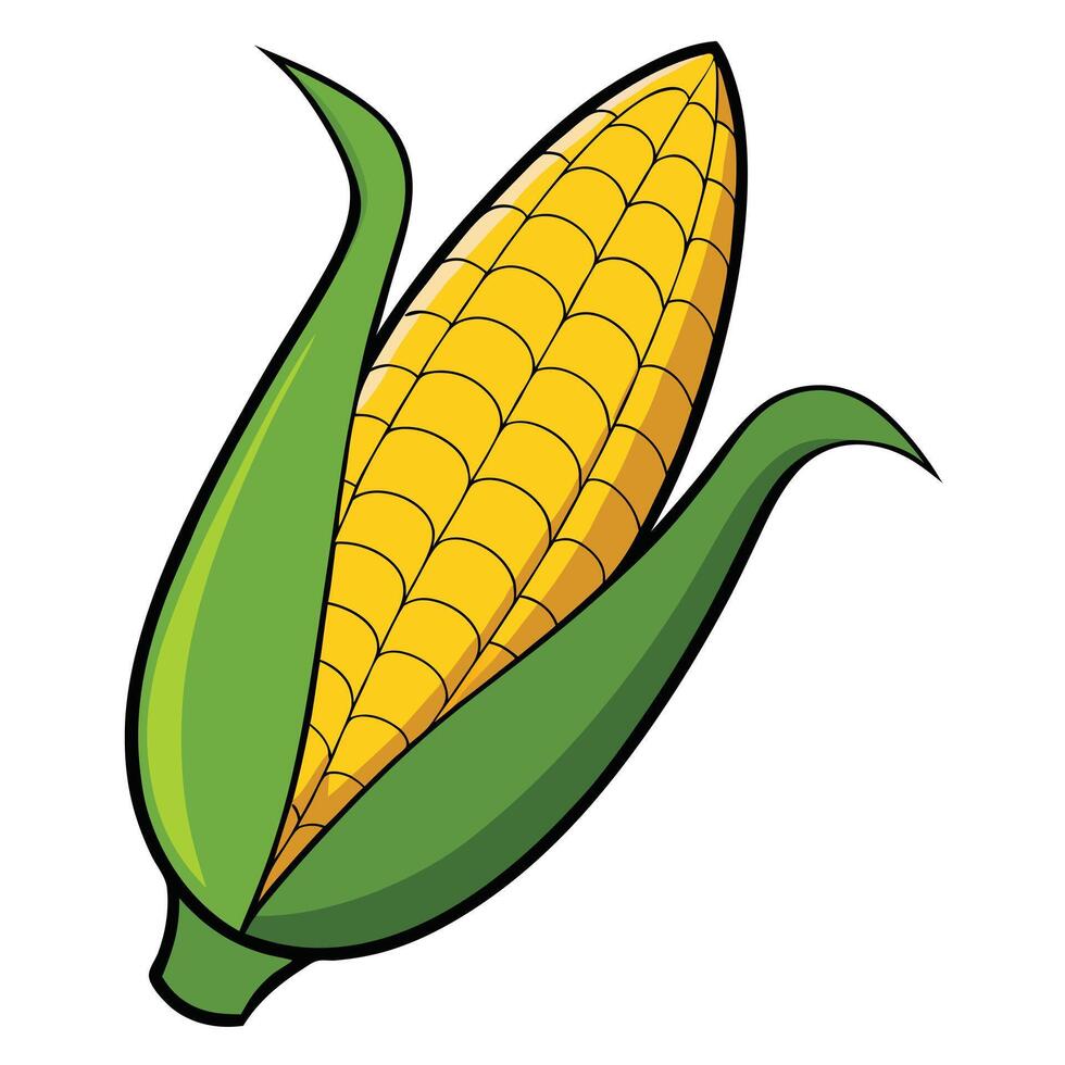 A Single Ear of Sweet Corn with Green Husks Illustration vector