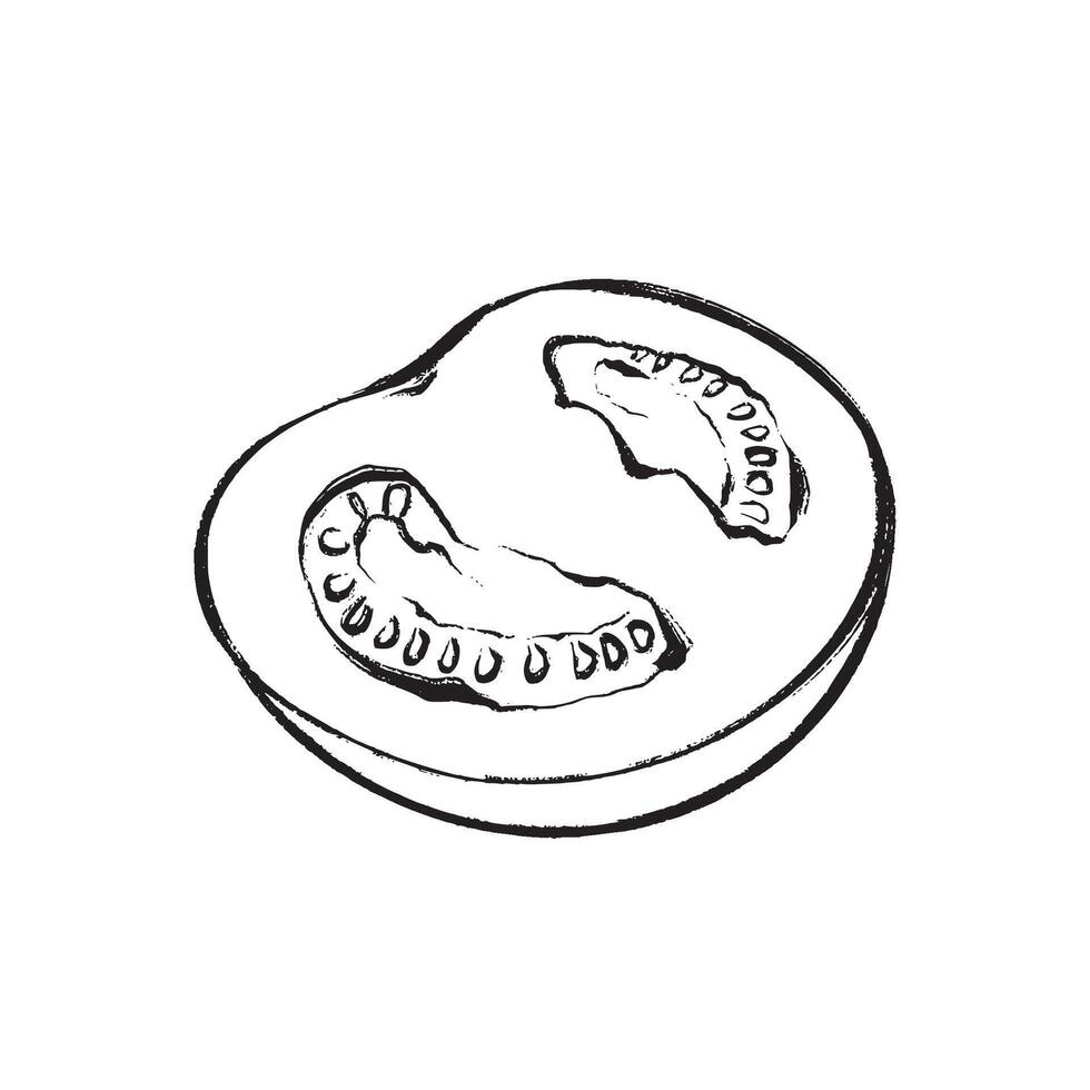 black and white illustration of a half of a tomato in sketch style. Suitable for design, printing, packaging, and decor. vector