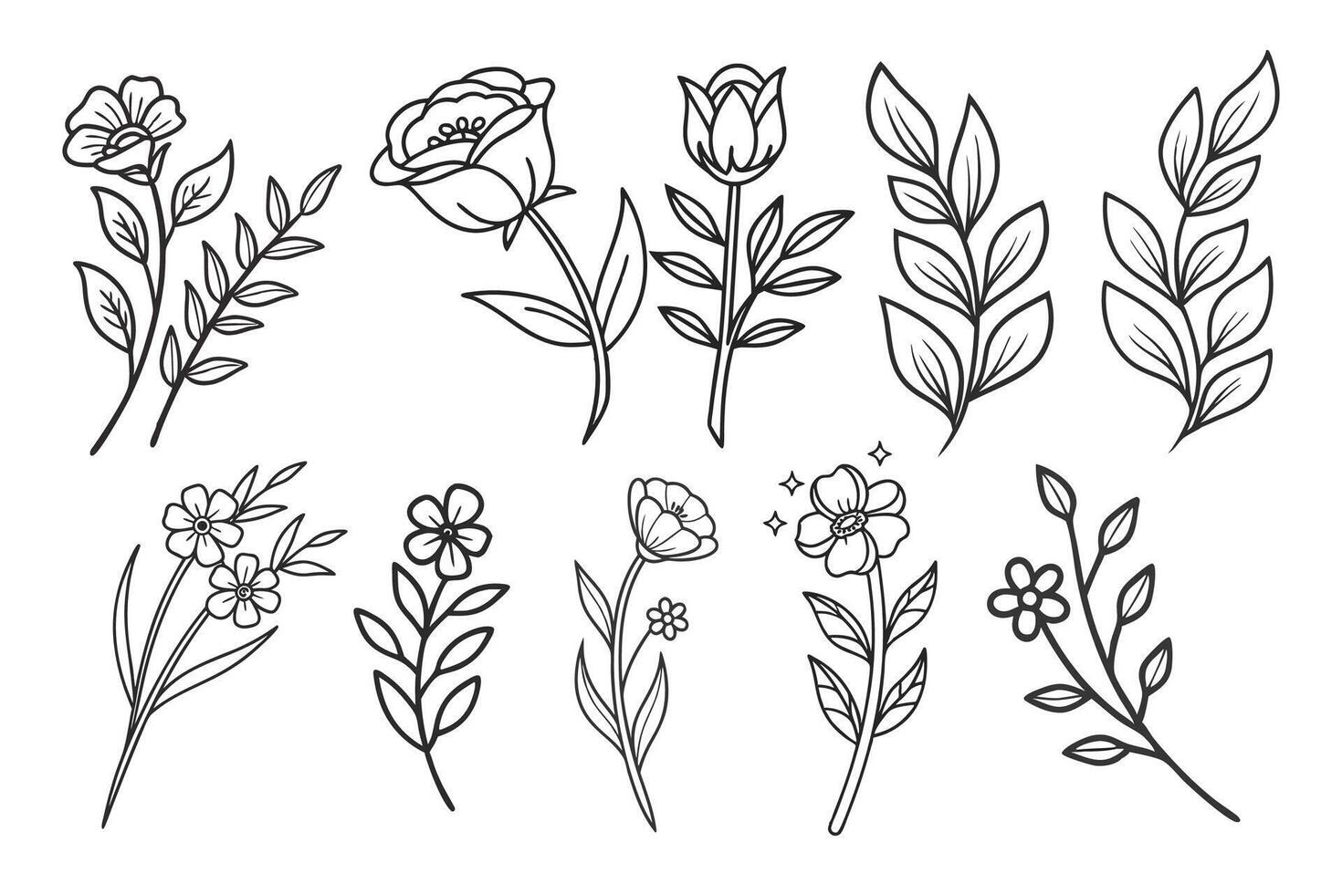 a set of flowers and leaves drawn in black and white vector
