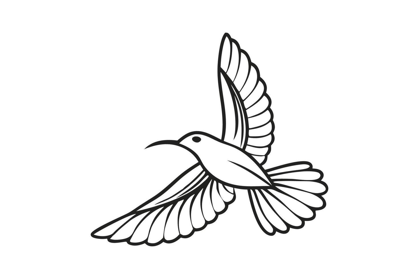 Hummingbird line art illustration black and white. vector