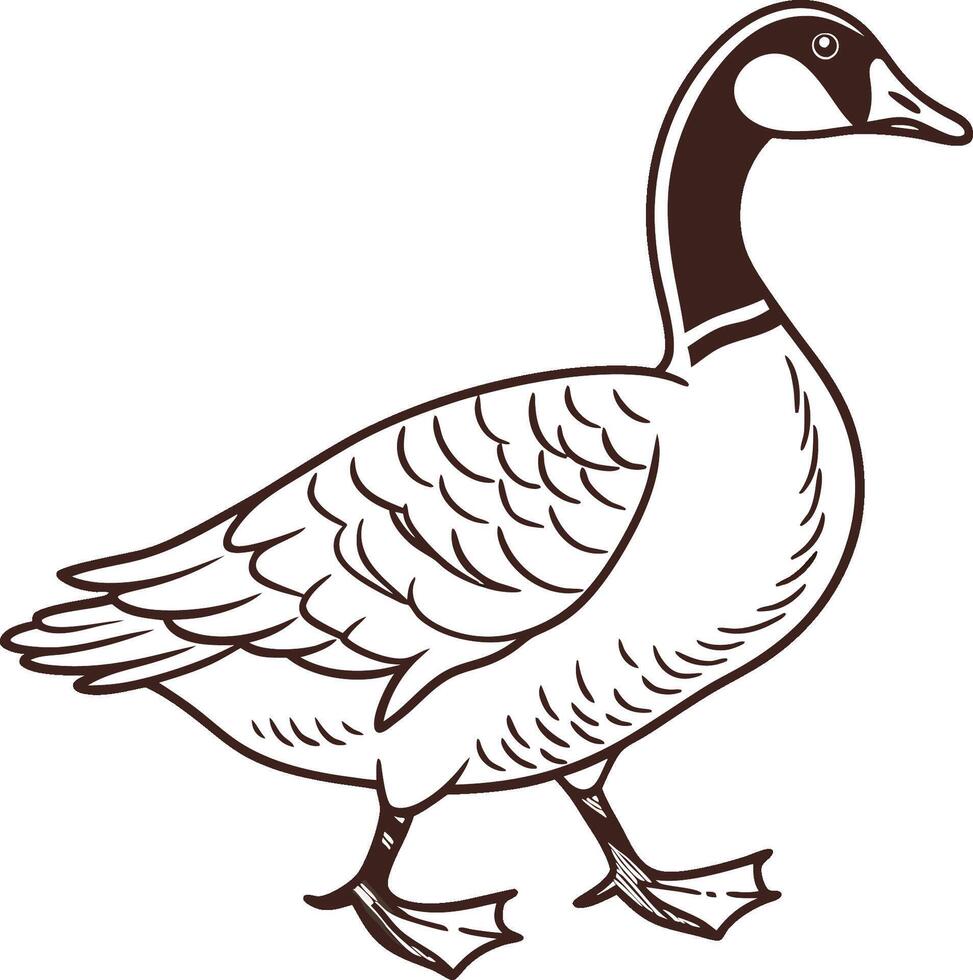 A goose is standing in a line drawing vector