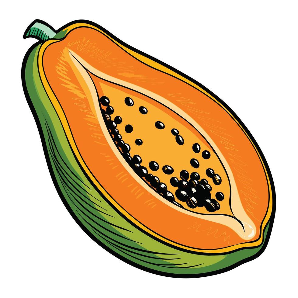 papaya fruit white background illustration white background vector