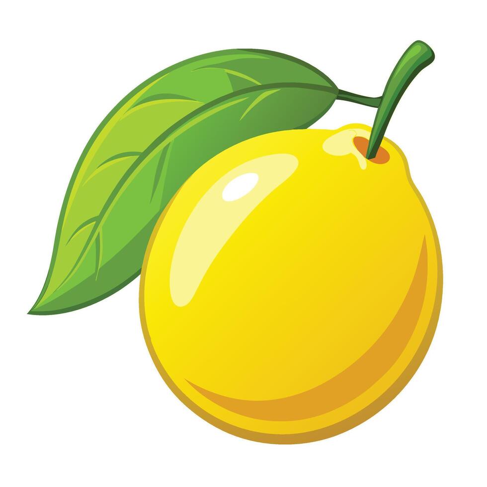 lemon with green leaf white background illustration vector