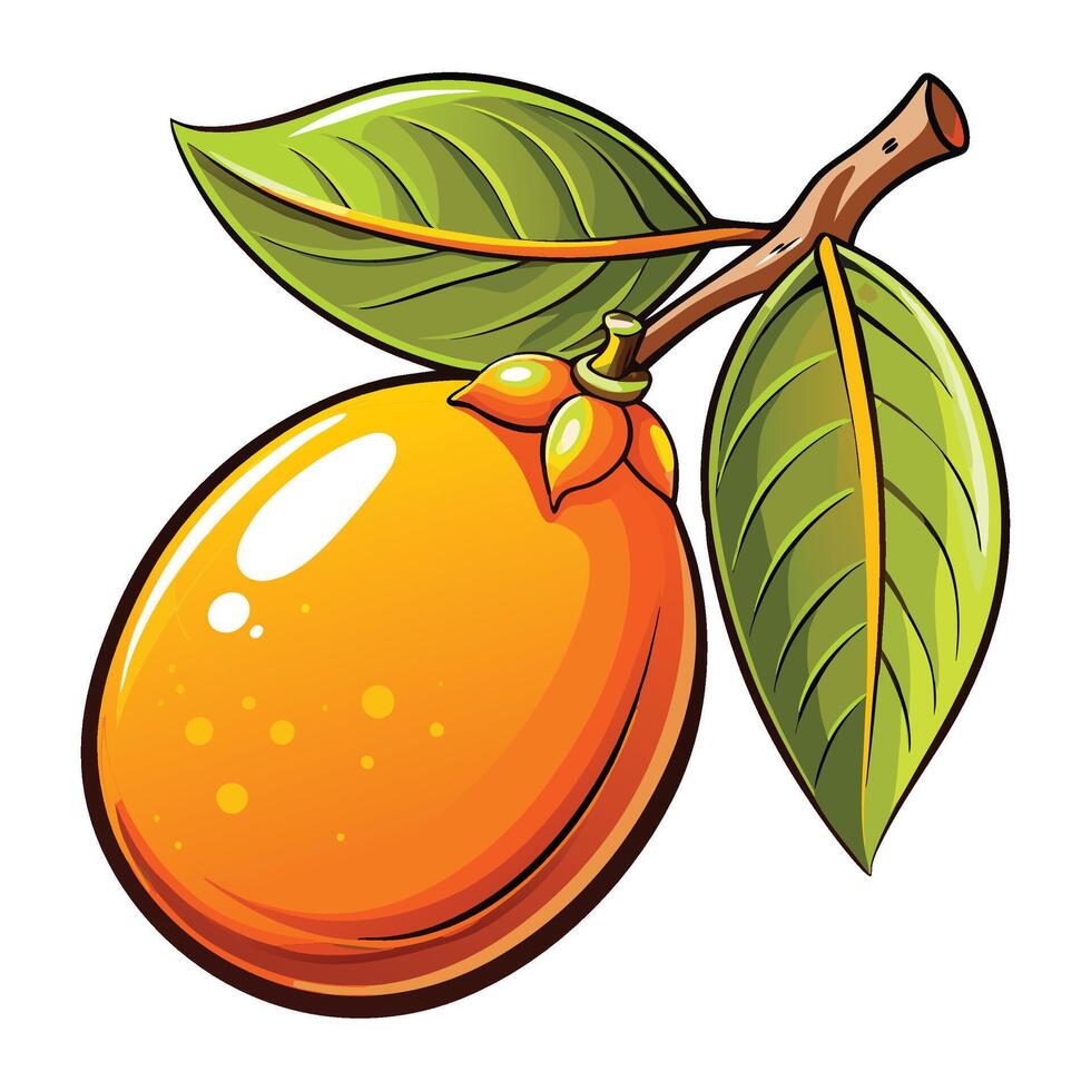 an orange fruit with leaves and leaves white background vector