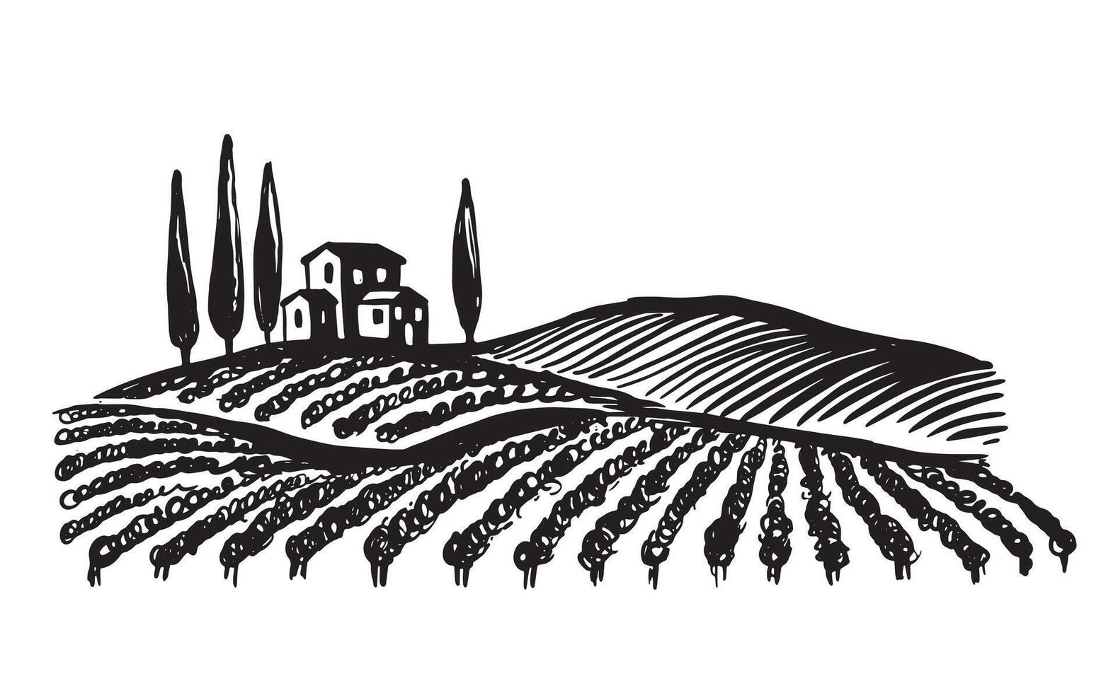 Wine plantations, hand drawn on white vector