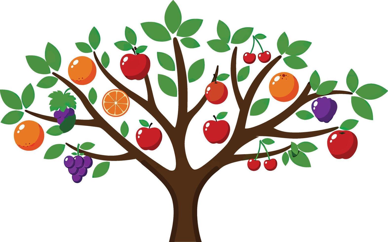 Fruit tree clipart vector