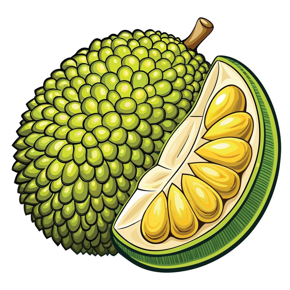 a jackfruit is cut in half and has a green skin vector