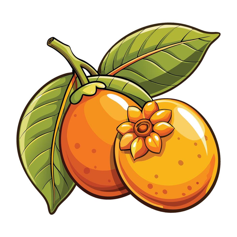 orange fruit with leaves and leaves vector
