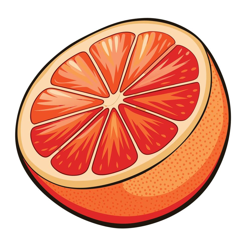 an orange slice is shown on a white background vector