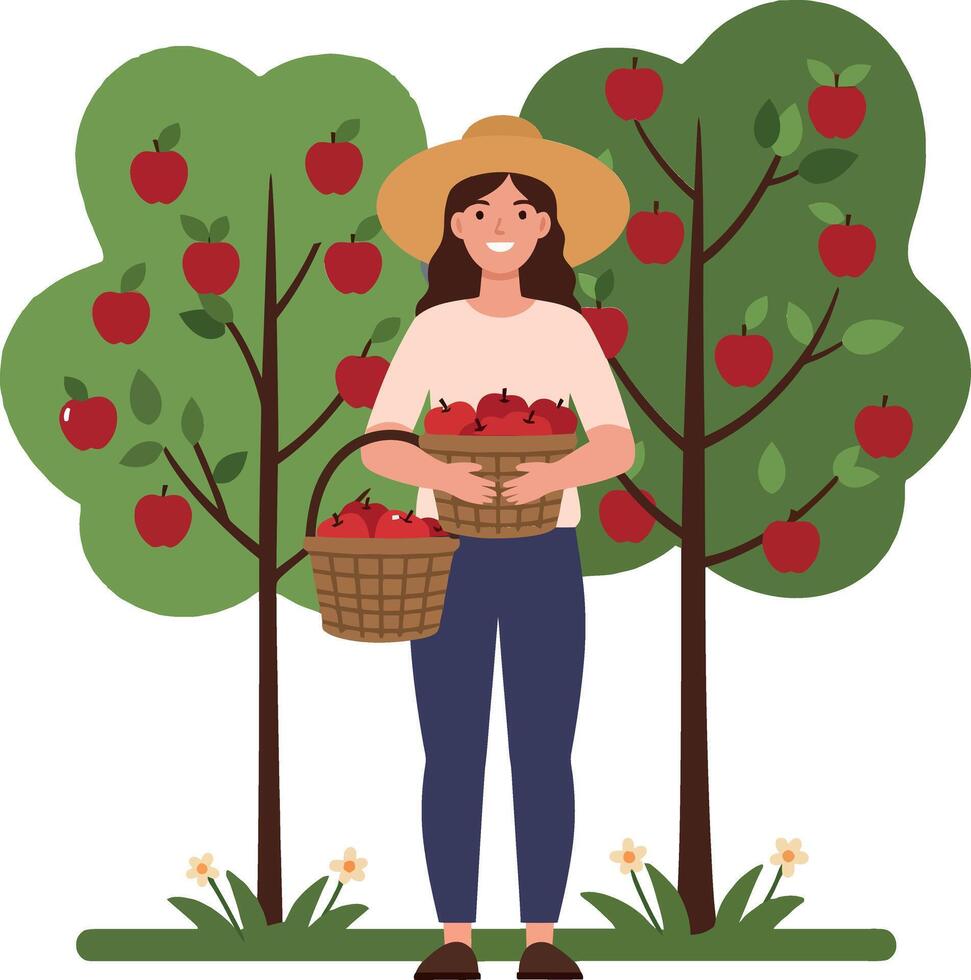 Woman harvesting apples in a vibrant orchard wearing a straw hat, showcasing a flat design style, cheerful mood illustration vector